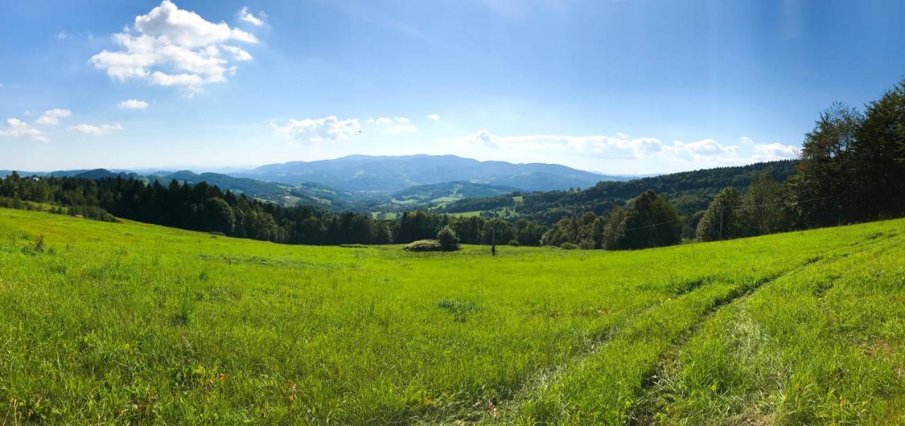 Osada Wasylowka Laskowa  Esterno foto